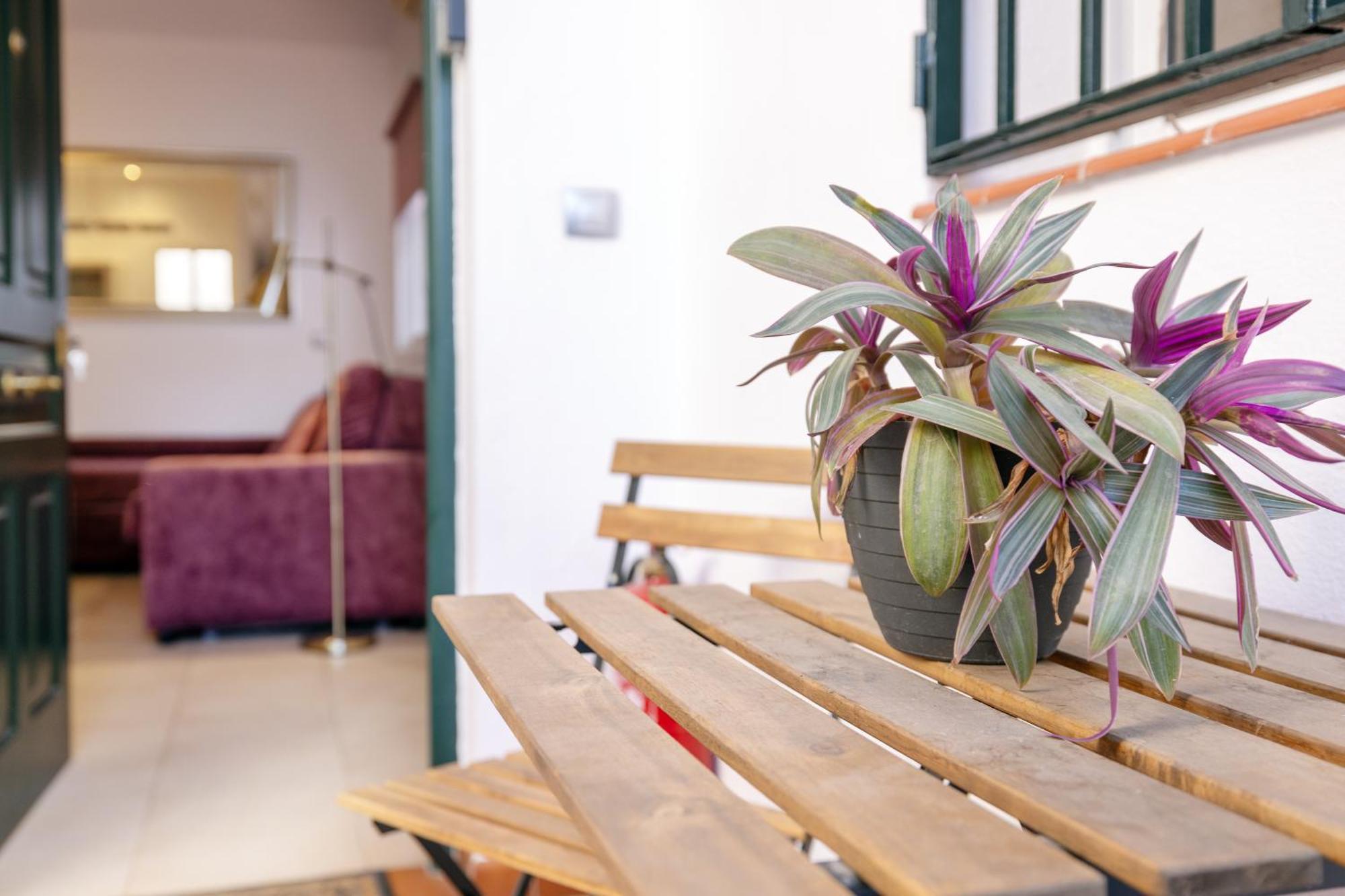 Apartment Trianasol *
